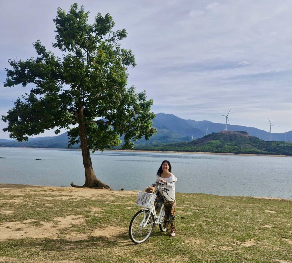 Cây phong cô đơn bên hồ Rào Quán